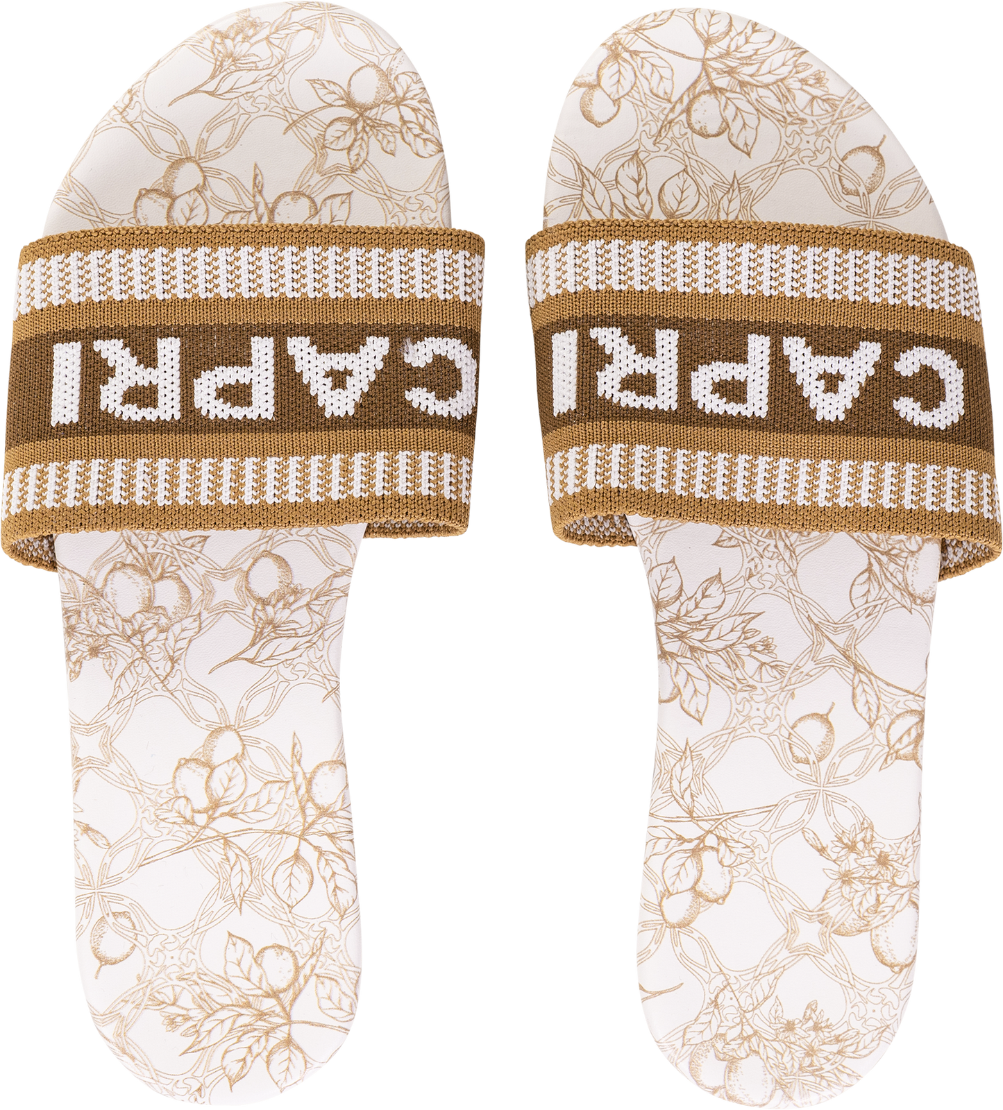 Ciabatte a Fascia Donna – CAPRI, Stampa Limoni, Look Mediterraneo - Beige